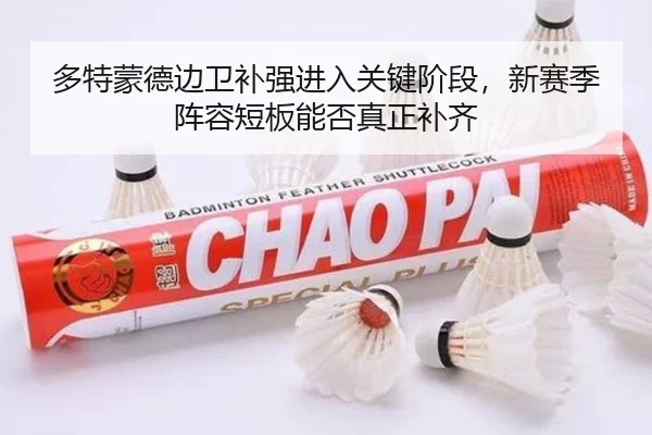 多特蒙德边卫补强进入关键阶段，新赛季阵容短板能否真正补齐 | kaiyun